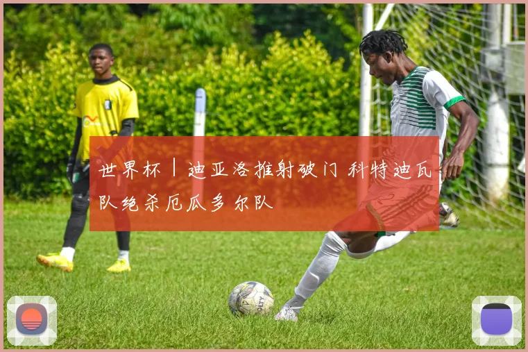 世界杯｜迪亚洛推射破门 科特迪瓦队绝杀厄瓜多尔队